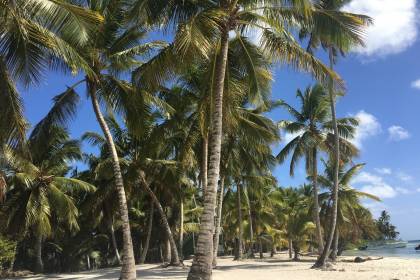 République dominicaine