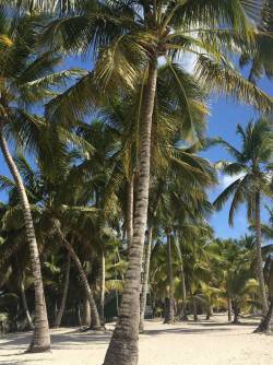 Dominican Republic