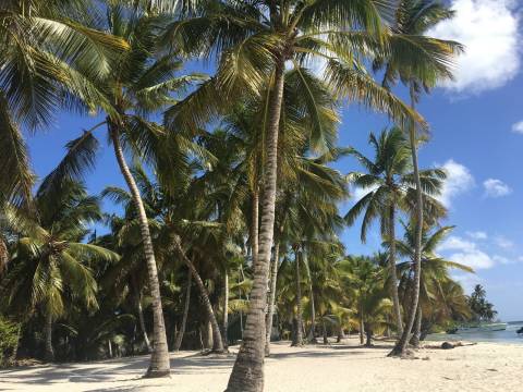 Landscape of Dominican Republic