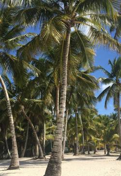 Dominican Republic