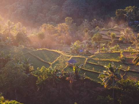 Landscape of Lombok