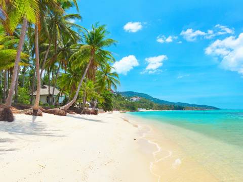 Landscape of Koh Samui