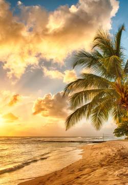 Barbados
