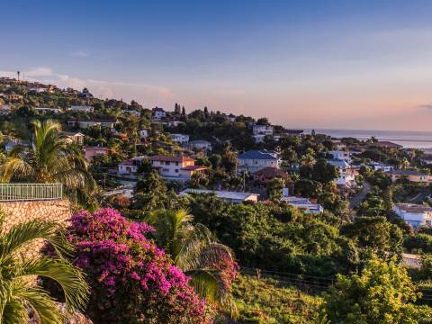 Landscape of Jamaica