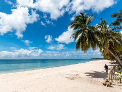 Landscape of Mozambique