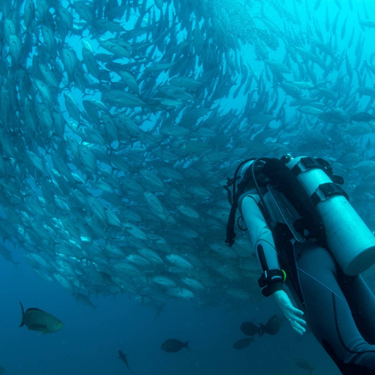 The 10 best dive sites in Asia