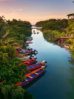 Jamaica