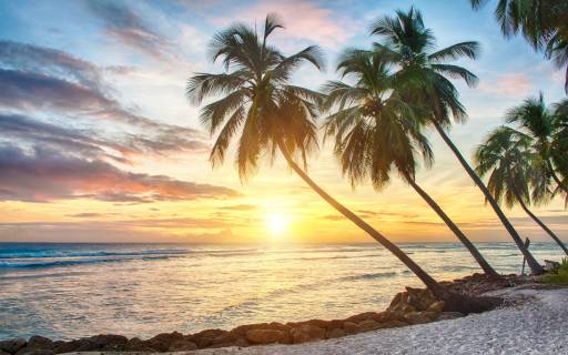 top beaches in barbados