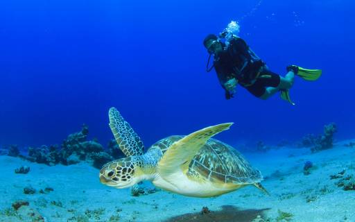 Top 10 dive sites in Asia