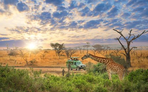 25 of africas best places to visit