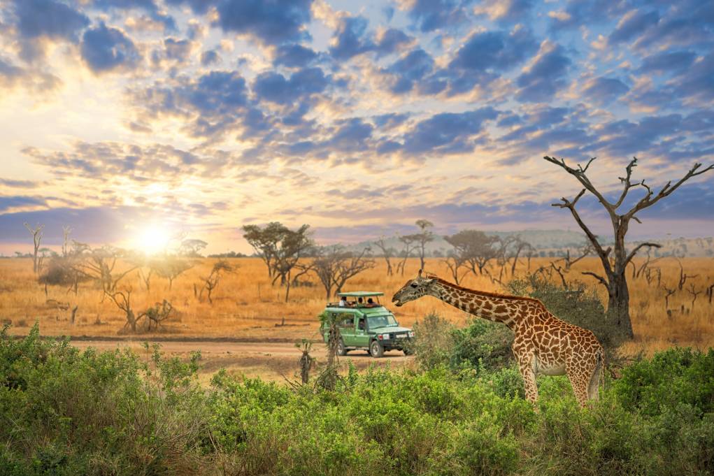 25 of africas best places to visit