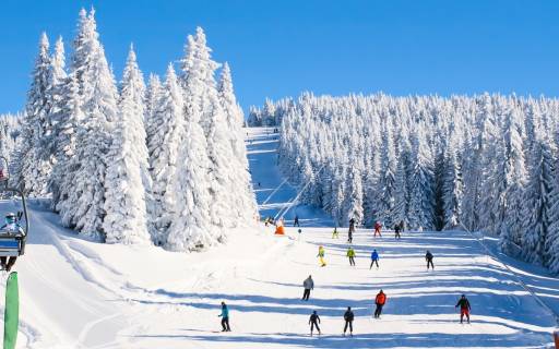 Ski resorts to enjoy in summer