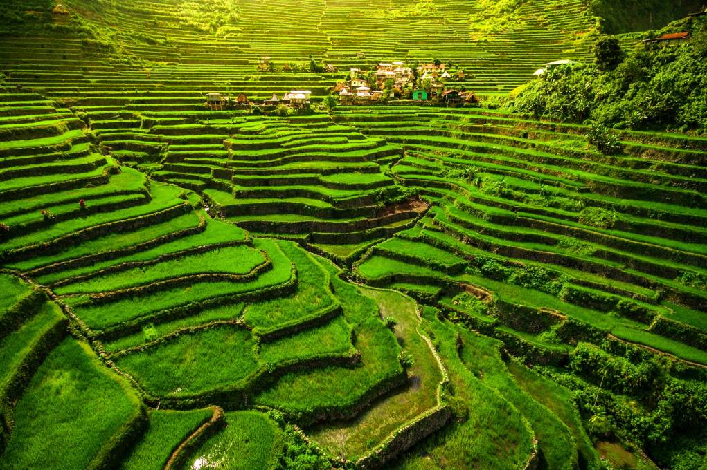 The Banaue Rice Terraces in Philippines