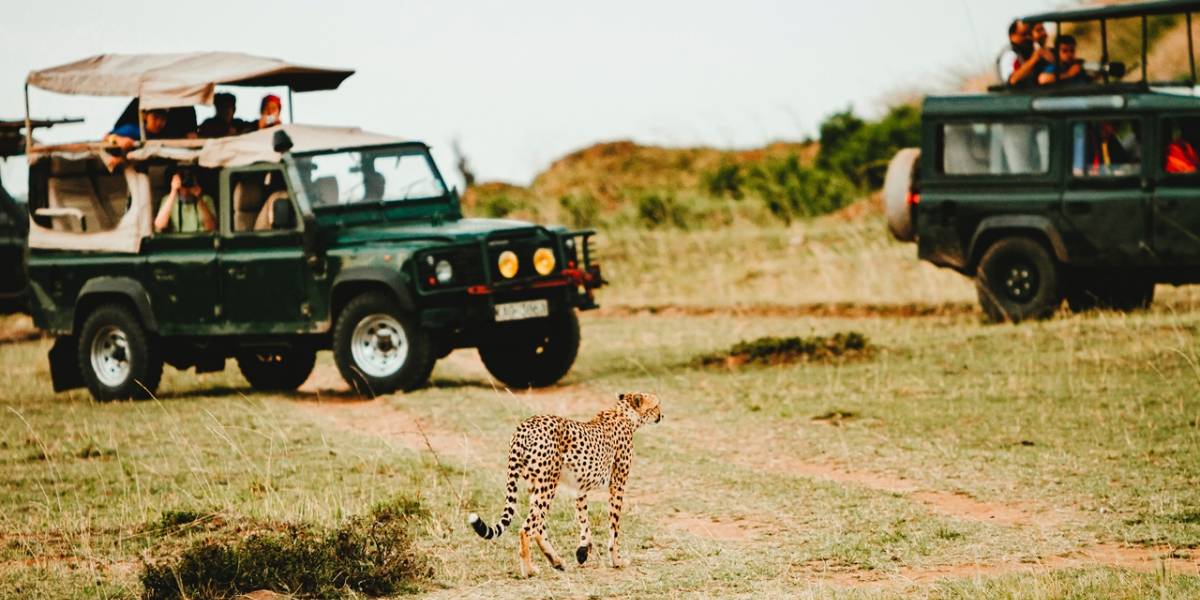 All You Need To Know About African Safari Hunting