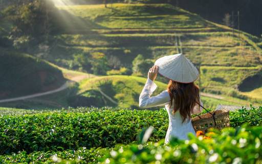 Top 5 Travel Tips For Vietnam