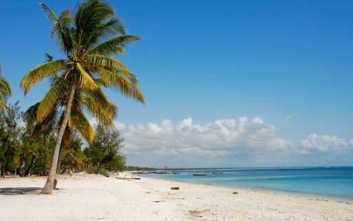 Beaches of Mozambique