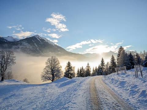 Landscape of Austria