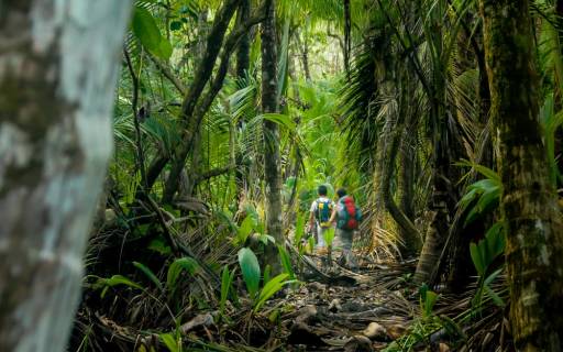 Must-trek Costa Rican hiking trails