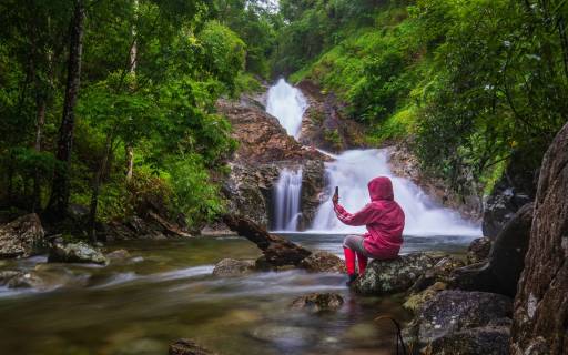 5 Tips For Great Rainforest Photography