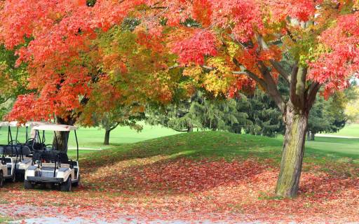 Best Destinations for Playing Golf in Fall