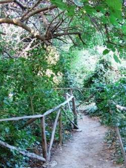 Greece, Aegean Islands, Paros, Butterfly Valley