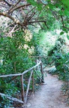 Griechenland, Ägäische Inseln, Paros, Schmetterlingstal