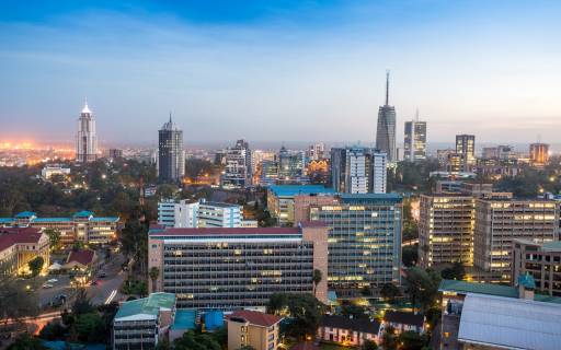 Exquisite Africa From Nairobi, Kenya