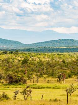 Kenya, Laikipia County