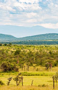 Kenia, Condado de Laikipia