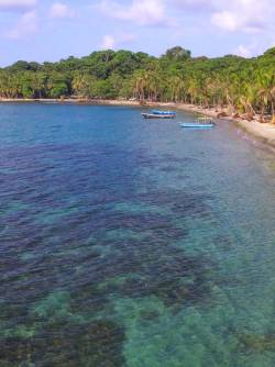Costa Rica, Limon
