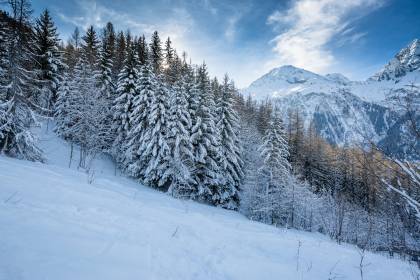 France, French Alps, Sainte-Foy-Tarentaise