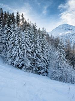 France, French Alps, Sainte-Foy-Tarentaise