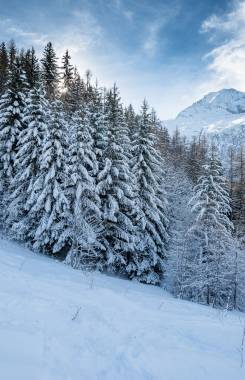 Francia, Alpes franceses, Sainte-Foy-Tarentaise