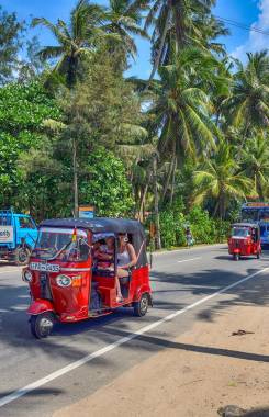 Sri Lanka, Unawatuna, Talpe