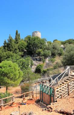 Греции, Ионические острова, Занте, Волимес