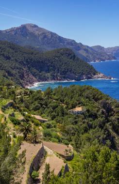 Spain, Mallorca, Andratx