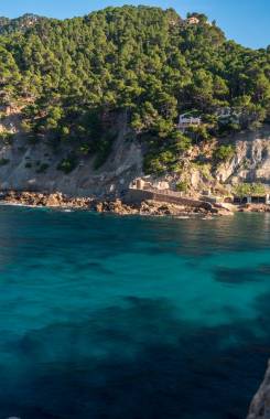 Spain, Mallorca, Banyalbufar