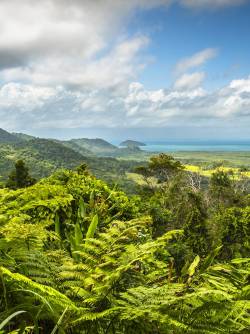 Australia, Daintree