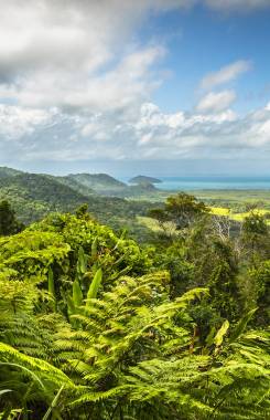 Australia, Daintree