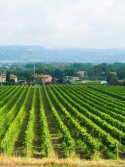 Italy, The Marches, Matelica