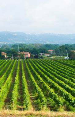 Italia, Las marchas, Matelica