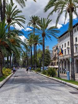 Spain, Mallorca, Palma