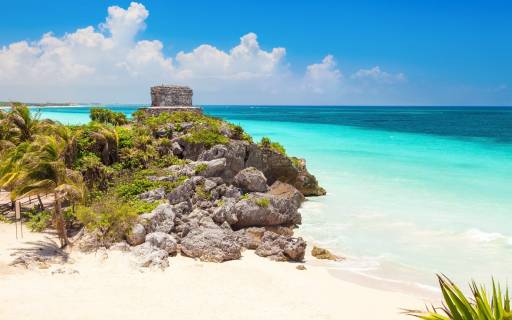 Tulum is the Ideal Destination for Scuba Diving