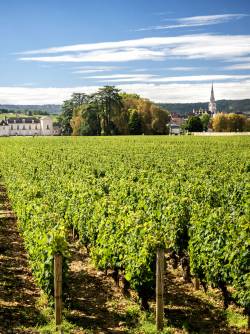 France, Burgundy
