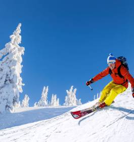 Vacances au Ski