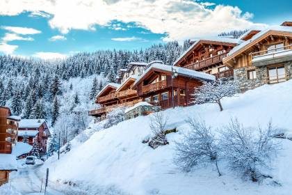 France, Alpes françaises, 3 vallees, La Tania
