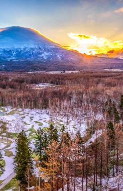 Япония, Нисэко