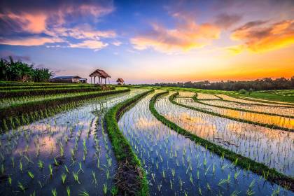 Indonesia, Bali, Canggu