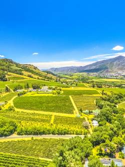 South Africa, Franschhoek