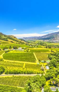 Νότια Αφρική, Φράνσεκ